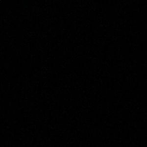 Meet your Posher, Kassidy